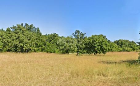 ISTRIA, BARBAN - Spacious building land