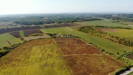 ISTRIA, BUJE - Agricultural land of 14,255 m2 with a sea view!