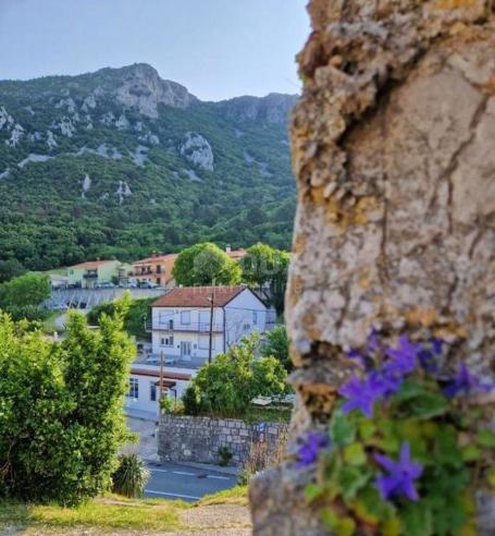 ISTRIA, LABIN - House and business premises