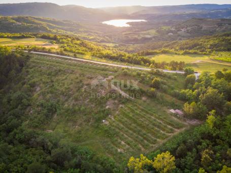 ISTRA, CEROVLJE, GRIMALDA - Poljoprivredno zemljište u blizini jezera Butoniga