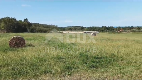 ISTRIA, BRTONIGLA - Beautiful meadow of 7596 m2