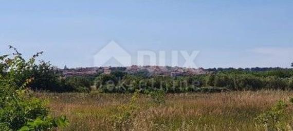 ISTRIA, LIŽANJAN - Agricultural plot suitable for an olive grove