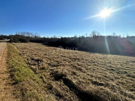 ISTRIA, MOTOVUN - Spacious combined land