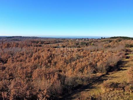 ISTRA, TINJAN - Građevinsko zemljište na rubu naselja