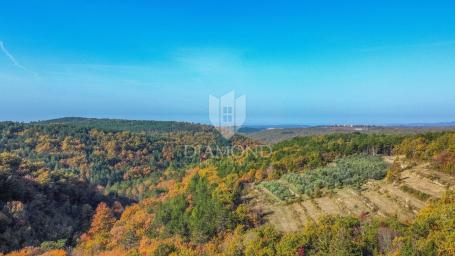 Bauland mit schöner Aussicht bei Grožnjan