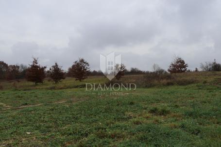 Svetvinčenat, surroundings, building land