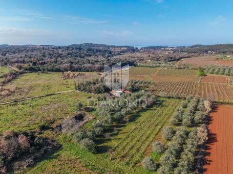 Rovinj, cultivated land with a legalized house