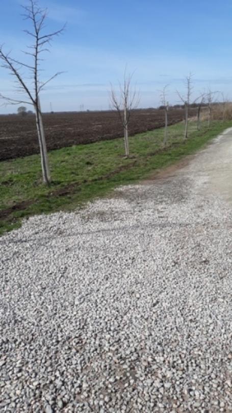 ZEMUN PLAVI  HORIZONTI 10270m2 , 102, 70a , 918000e