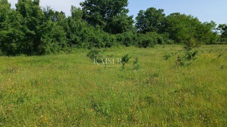 Istria - Barban - building plot, 850 m2