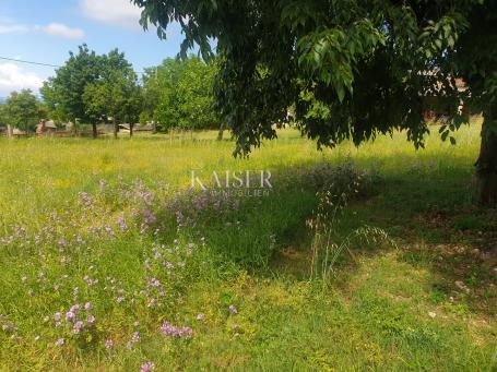 Istria - Višnjan, beautiful building plot with sea view