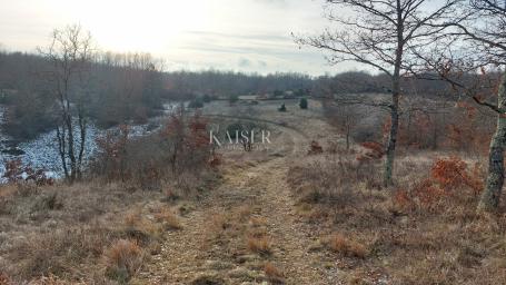 Istria, Pazin - construction land for the construction of a resort of 53,534 m2