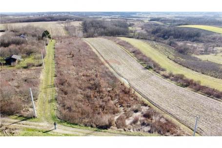 Land Paukovec, Sveti Ivan Zelina, 6.150m2