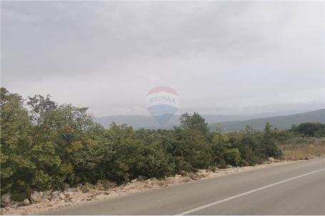 Land Pridraga, Novigrad, 570m2