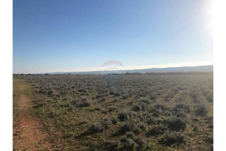 Land Gornje Raštane, Sveti Filip I Jakov, 213.000m2