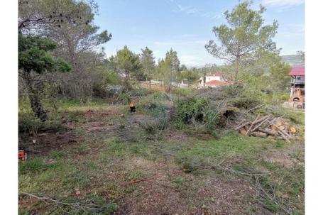 Land Pridraga, Novigrad, 484m2