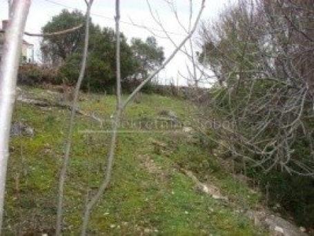 Losinj, Nerezine - Land, 2284 M2