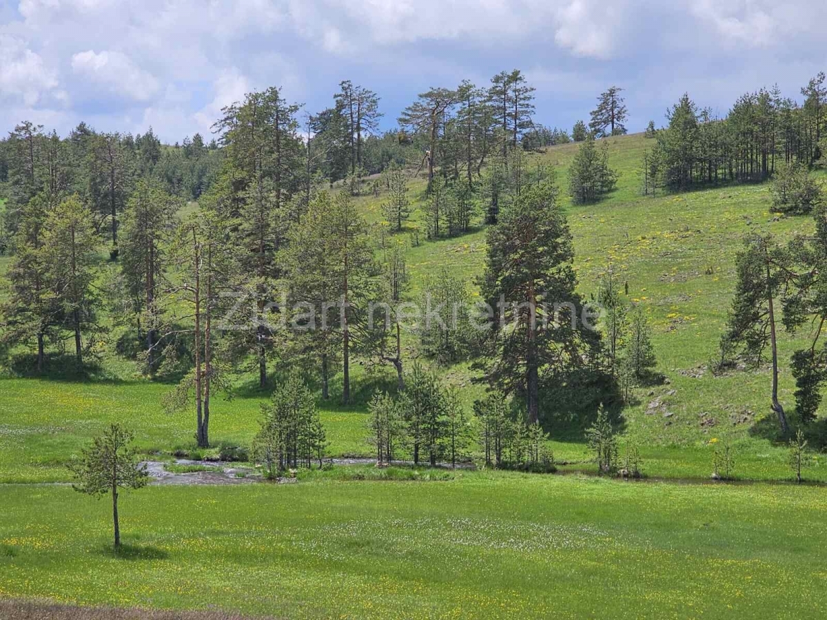 Zlatibor, Vodice, 1. 5ha, Izuzetno, Preporuka