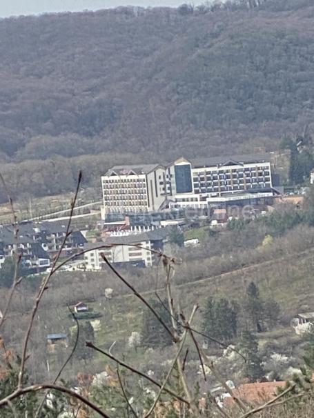 Fruška gora, 2ha 80ari