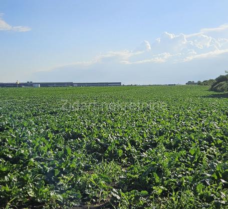 Stari Banovci industrijska zona