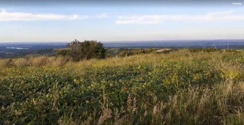 Poljoprivredno zemljište u Sremskim Karlovcima, prodaja