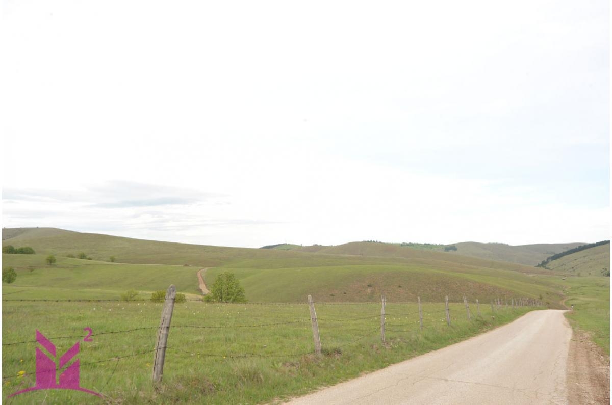 Zlatibor-Gajevi