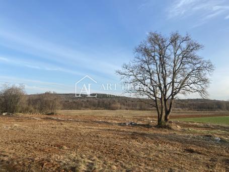 Istrien - Bale, Äußerst wertvolles landwirtschaftliches Land 11.200 m2