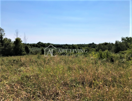 Novigrad-surroundings, building plot 3618 m2 with sea view