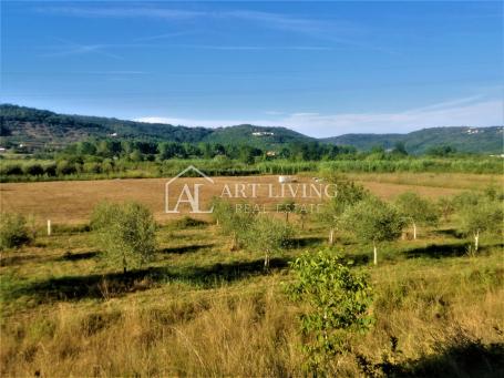 Buje-surroundings, beautiful agricultural land 5100 m2