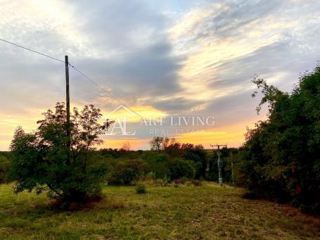 Umag-surroundings, attractive agricultural land with a view of the sea