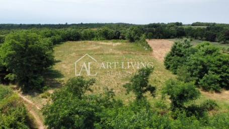 Poreč - surroundings, nice building plot 14 km from the sea