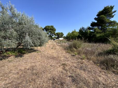 ZADAR, PRIVLAKA - Building plot near the sea