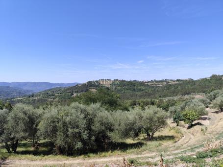 Istria, Buzet - old house with building land