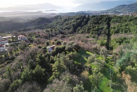 Urbanized land in Kotor Kavac