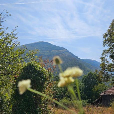 Mirovo- samo podnozje Rtanj planine