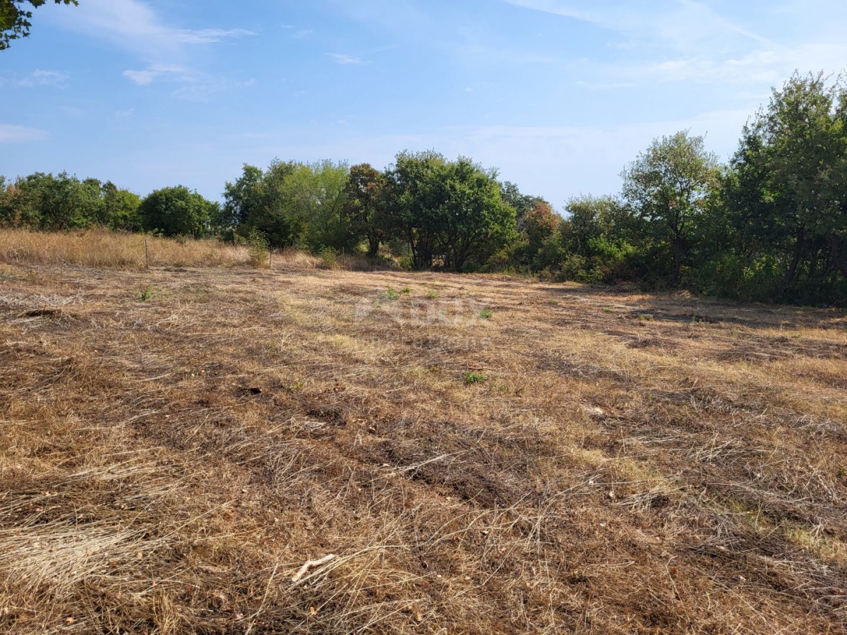 ISTRA, MARČANA - Građevinsko i poljoprivredno zemljište 