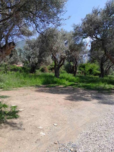 Land for Sale 503 m2, Bar, Great Location