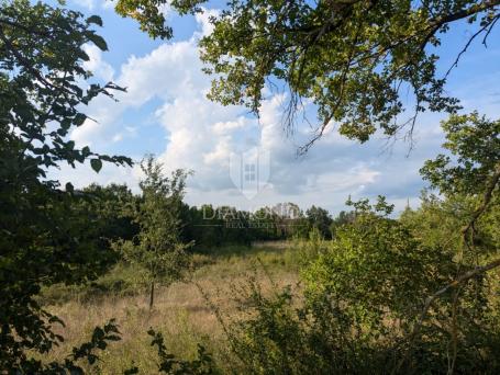 Poreč, surroundings, sunny agricultural land!