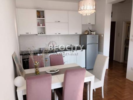 Novi Sad, Centar, Branisava Nusica, 2. 0, 42m2, 650EUR