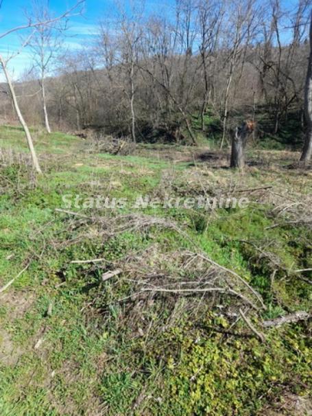 Sremski Karlovci-Fantastičan osunčan plac 2402 m2 sa izlazom na Potok koji Dosadno Žubori-065/385888