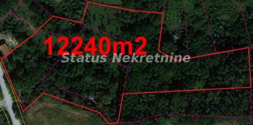 Banstol-Velika Parcela 12240 m2 za Umetnike i Hedoniste-065/385 8880