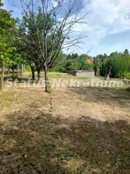 Čortanovci-Uknjižen Građevinski Plac 1100 m2 sa Vinogradom za Uživanje-065/385 8880