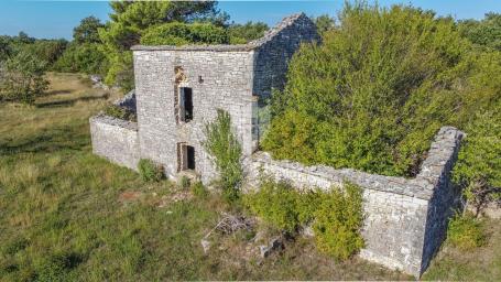 Vodnjan, okolica, prekrasna stancija okružena zelenilom! 