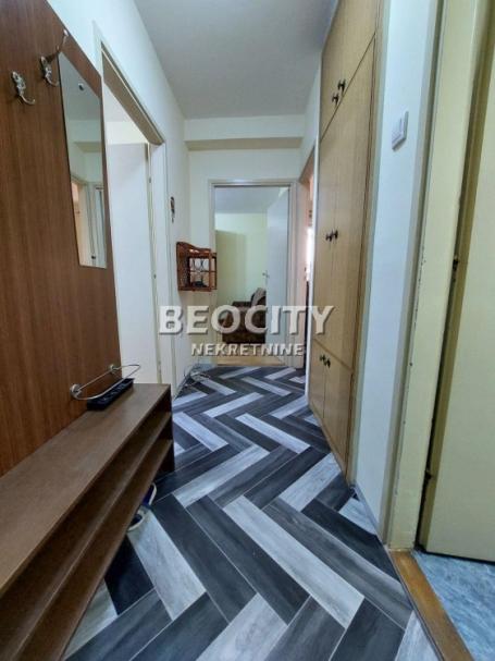 Novi Sad, Detelinara, Veselina Masleše, 2. 0, 56m2, 500EUR