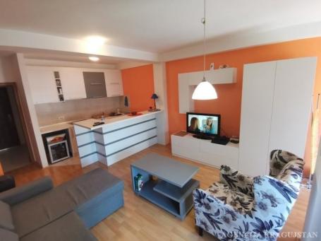 Izdavanje, Stan, 34. 00m2 , Mala vaga