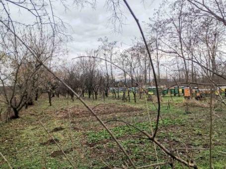 Odličan građevinski plac na jednoj od najtraženijih lokacija u Petrovaradinu