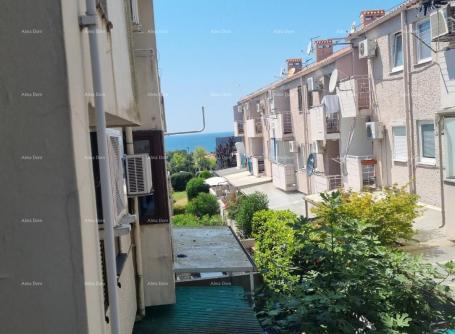 Apartment surroundings of Novigrad, apartment with sea view