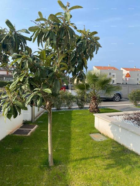 Apartment A beautiful three bedroom apartment, 200m from the sea, Rovinj!