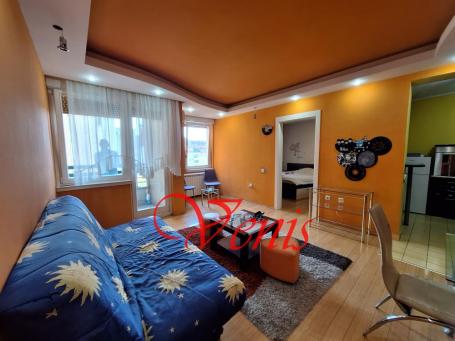 Bulevar oslobođenja 53 m2 - 500 E - pet friendly ID#2373