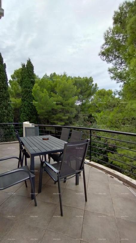 Apartment Apartment 300 m from the beaches, in a pine forest, Verudela.