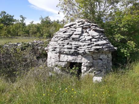 Grundstück Režanci, Svetvinčenat, 27.000m2